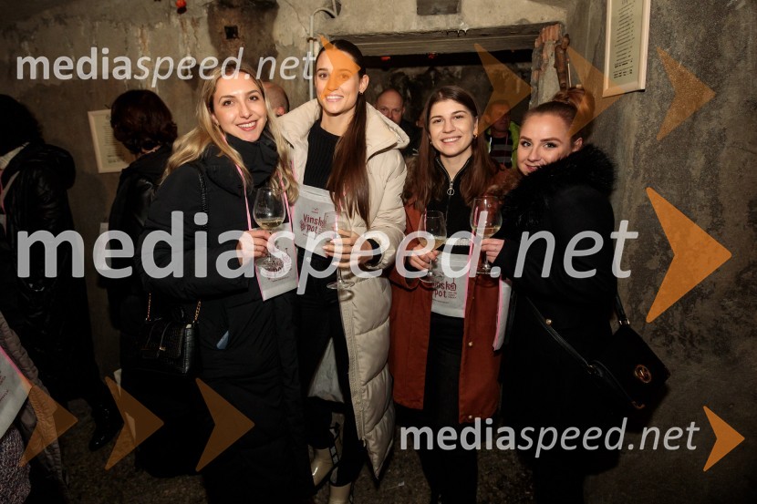 Vinska pot v rovih pod starim Kranjem 2024, petek