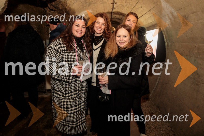 Vinska pot v rovih pod starim Kranjem 2024, petek