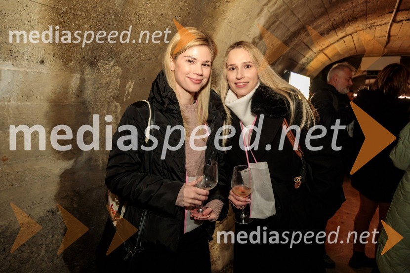 Vinska pot v rovih pod starim Kranjem 2024, petek