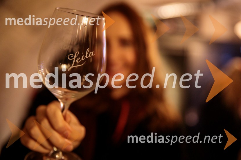 Vinska pot v rovih pod starim Kranjem 2024, petek