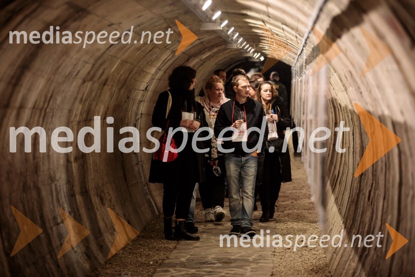 Vinska pot v rovih pod starim Kranjem 2024, petek