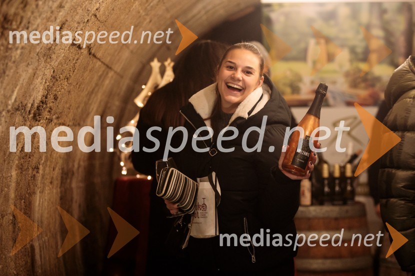 Vinska pot v rovih pod starim Kranjem 2024, petek