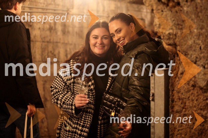 Vinska pot v rovih pod starim Kranjem 2024, petek