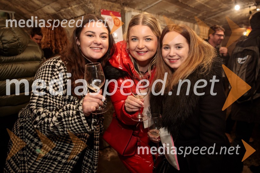 Vinska pot v rovih pod starim Kranjem 2024, petek