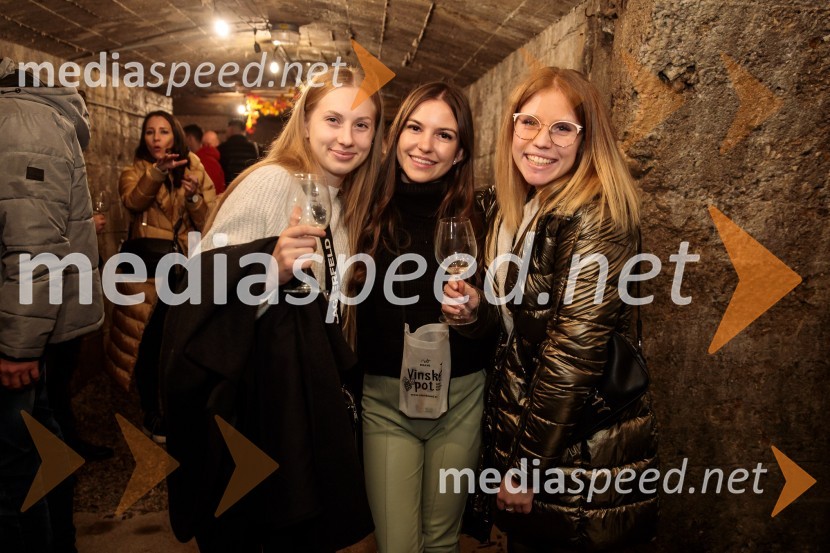 Vinska pot v rovih pod starim Kranjem 2024, petek