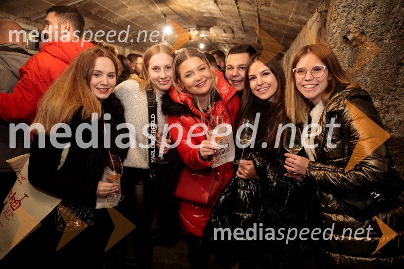 Vinska pot v rovih pod starim Kranjem 2024, petek