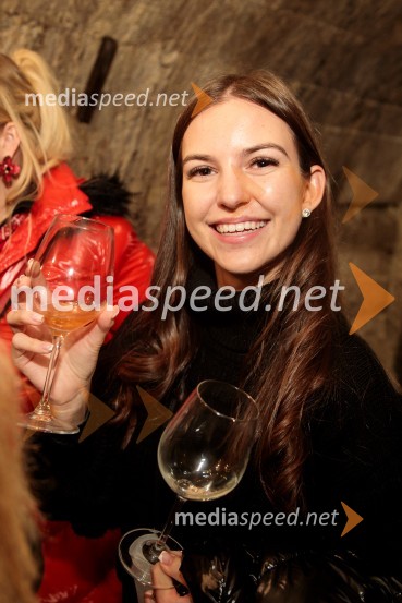 Vinska pot v rovih pod starim Kranjem 2024, petek