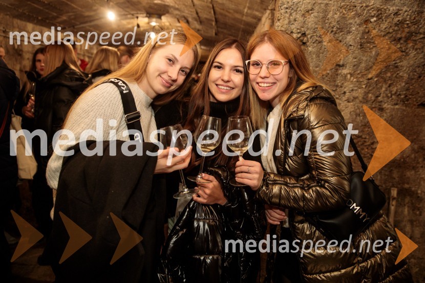 Vinska pot v rovih pod starim Kranjem 2024, petek