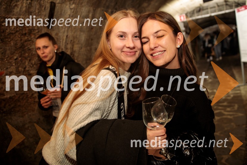 Vinska pot v rovih pod starim Kranjem 2024, petek