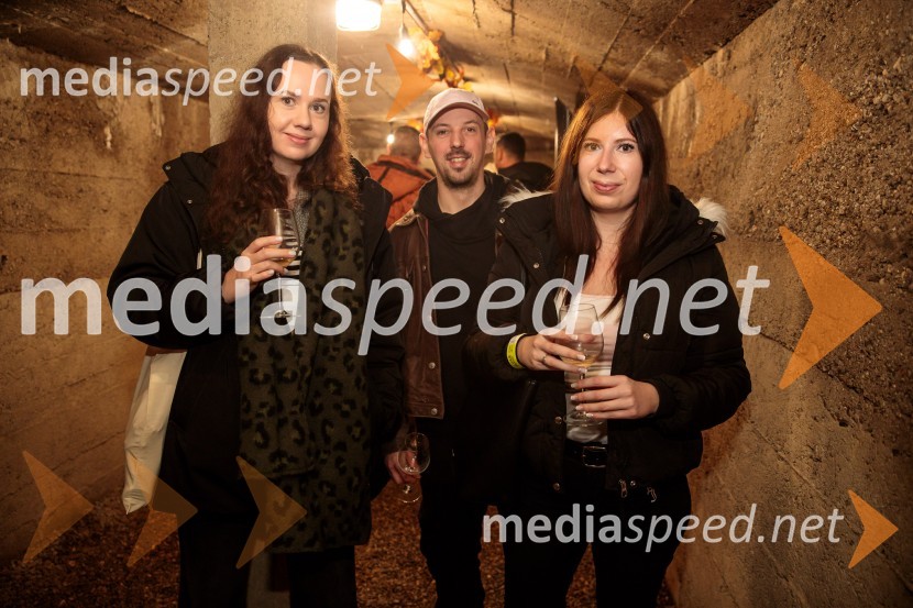 Vinska pot v rovih pod starim Kranjem 2024, petek