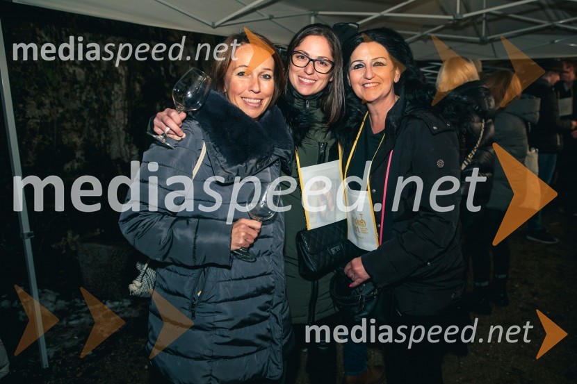 Vinska pot v rovih pod starim Kranjem 2024, petek