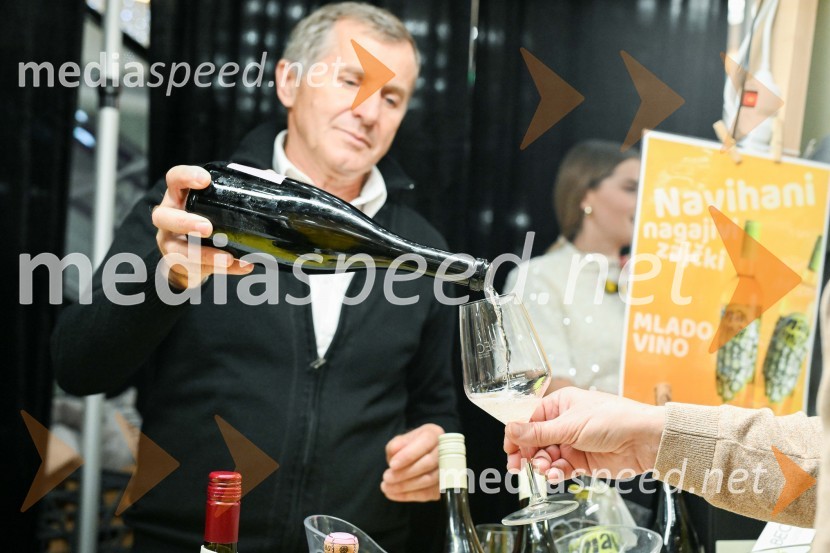 Pubec v Citycentru Celje