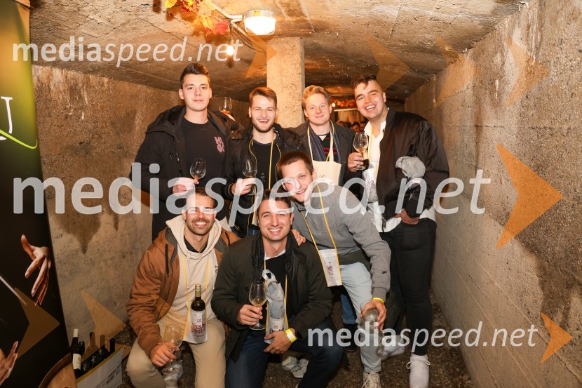 Vinska pot v rovih pod starim Kranjem 2024, sobota