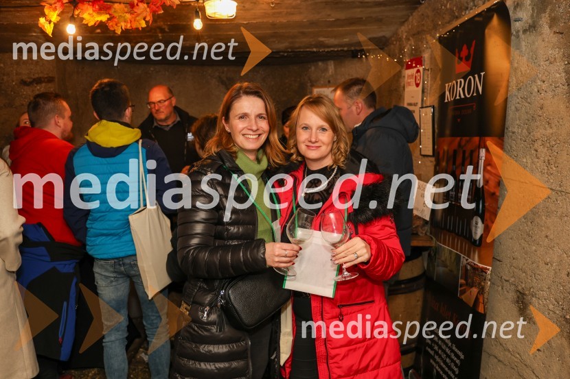 Vinska pot v rovih pod starim Kranjem 2024, sobota