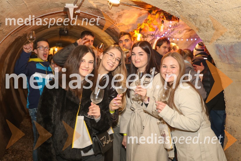 Vinska pot v rovih pod starim Kranjem 2024, sobota