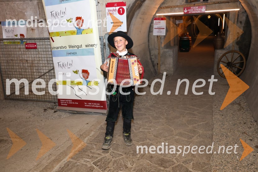 Vinska pot v rovih pod starim Kranjem 2024, sobota