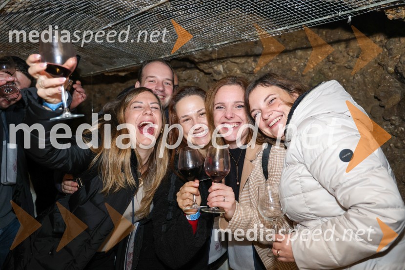 Vinska pot v rovih pod starim Kranjem 2024, sobota