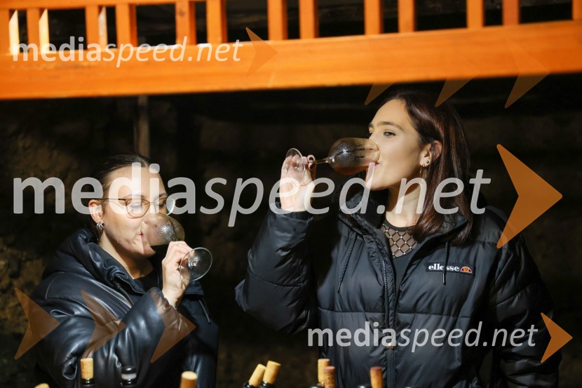 Vinska pot v rovih pod starim Kranjem 2024, sobota