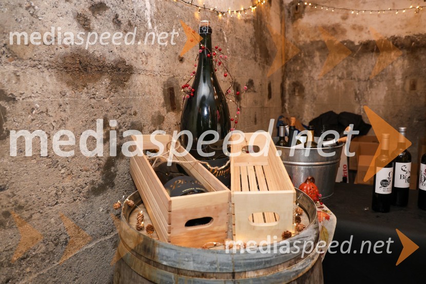 Vinska pot v rovih pod starim Kranjem 2024, sobota