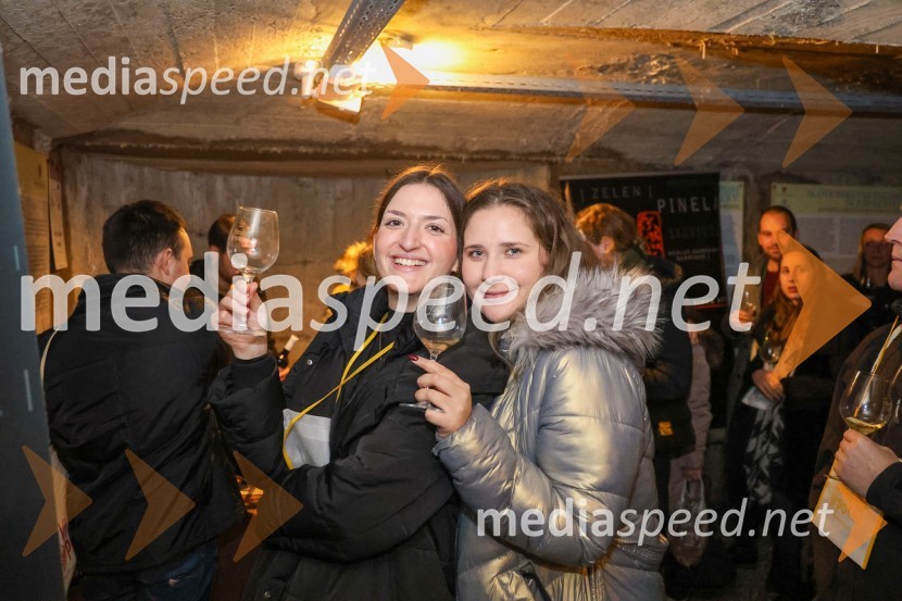 Vinska pot v rovih pod starim Kranjem 2024, sobota