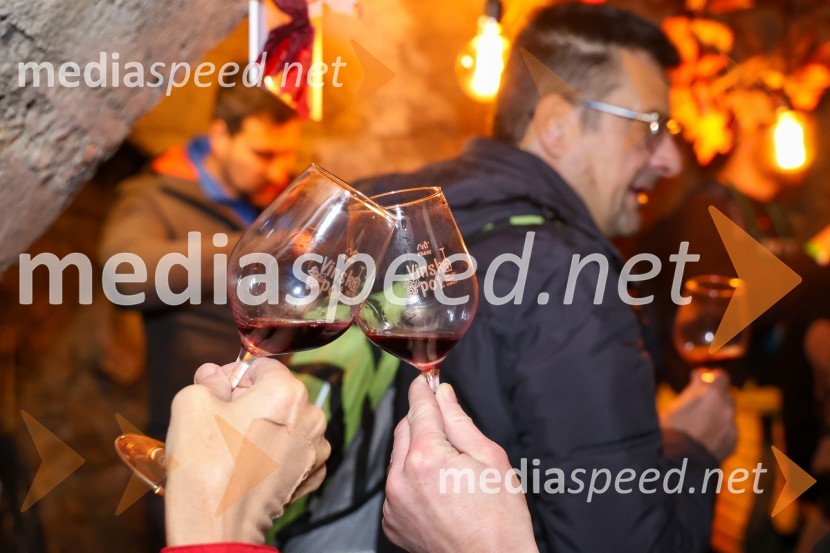 Vinska pot v rovih pod starim Kranjem 2024, sobota