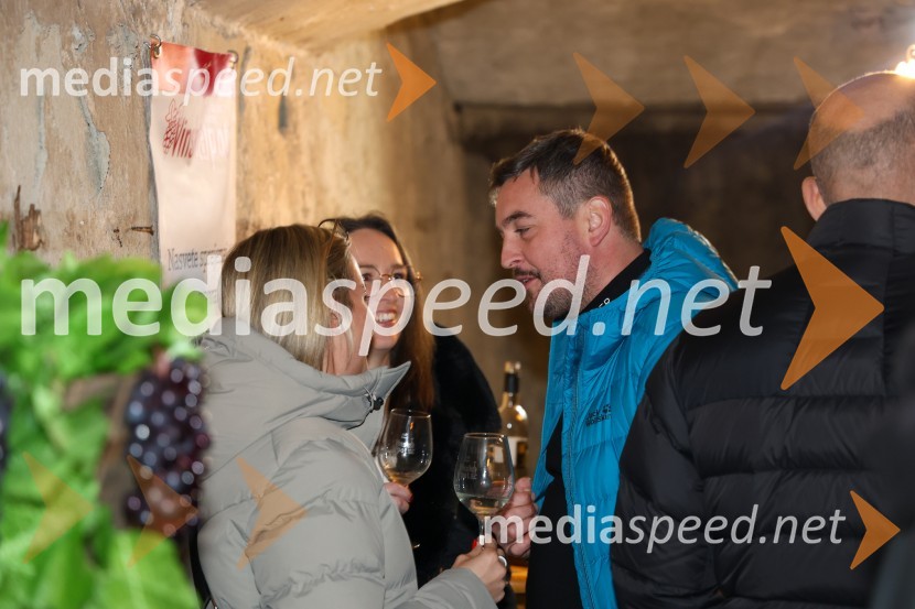 Vinska pot v rovih pod starim Kranjem 2024, sobota