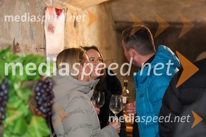 Vinska pot v rovih pod starim Kranjem 2024, sobota