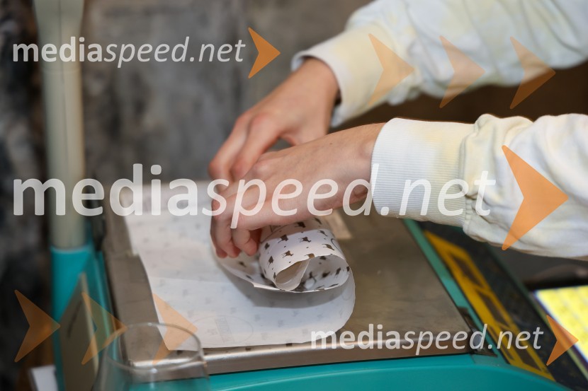 Vinska pot v rovih pod starim Kranjem 2024, sobota