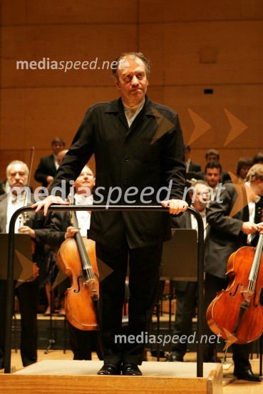 Dirigent Valerij GergijevKoncert orkestra Marijinskega gledališča iz St. Petersburga