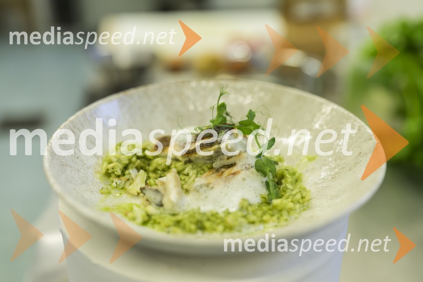 Novinarska konferenca z dalmatinsko kulinariko, Srednja šola za gostinstvo in turizem Maribor