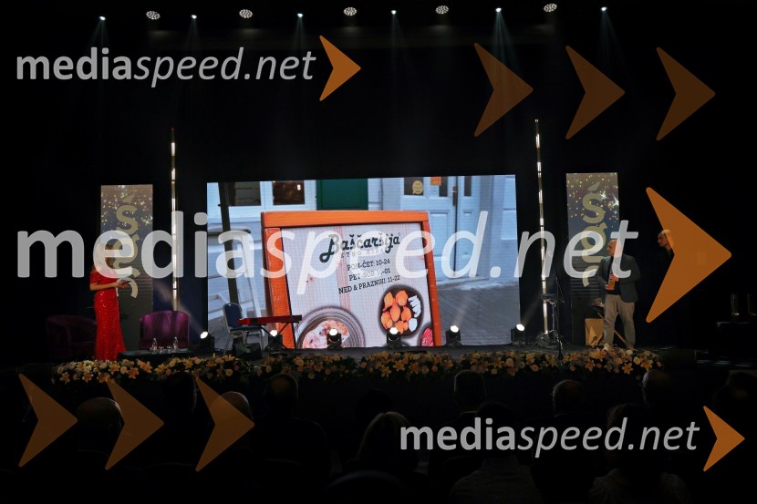 Štajerska gospodarska odličnost 2024