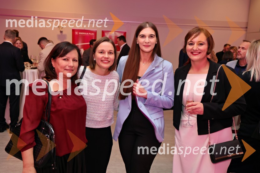 Štajerska gospodarska odličnost 2024