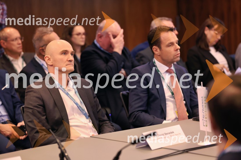  David Benedek, član uprave, Sava Re;  Robert Prelesnik, partner, odvetniška pisarna Rojs, Peljhan, Prelesnik & partnerjiPoslovna konferenca BSCC na londonski borzi