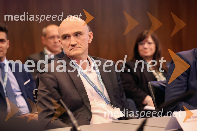  David Benedek, član uprave, Sava RePoslovna konferenca BSCC na londonski borzi