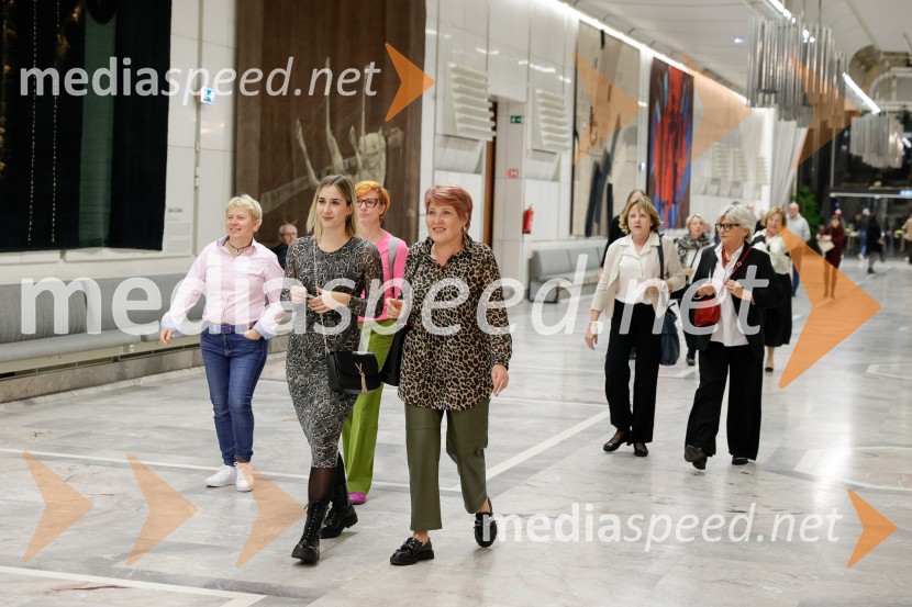 Josipa Lisac, koncert v Cankarjevem domu