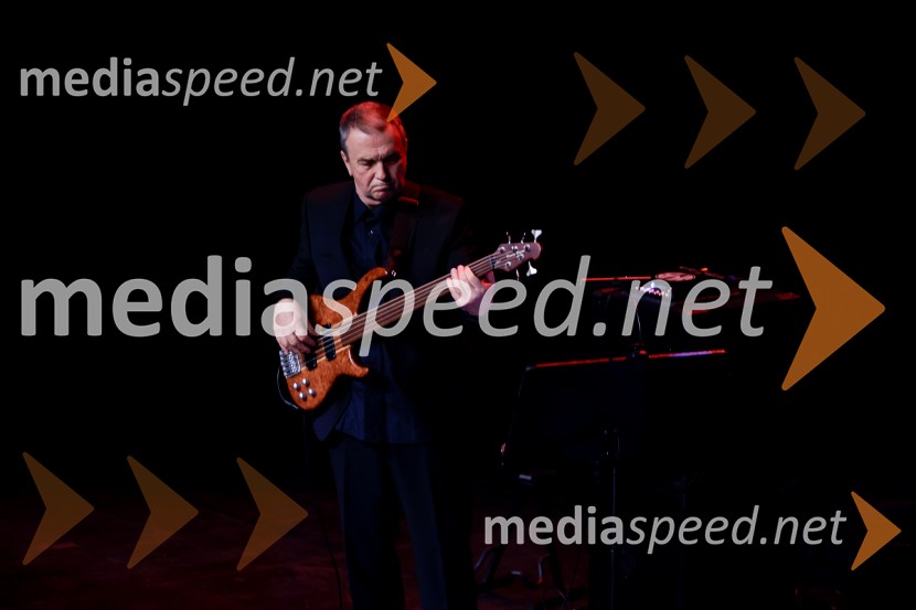 Josipa Lisac, koncert v Cankarjevem domu