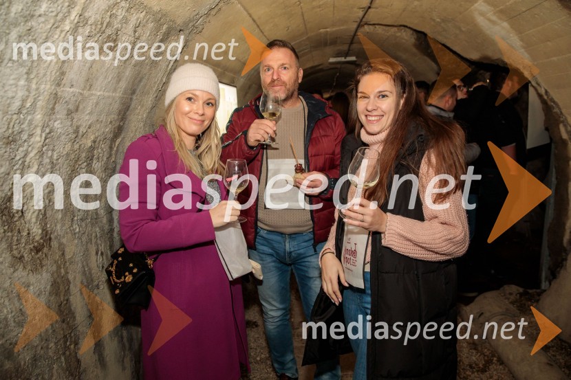 Vinska pot v rovih pod starim Kranjem 2024, sobota 2