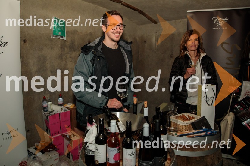 Vinska pot v rovih pod starim Kranjem 2024, sobota 2