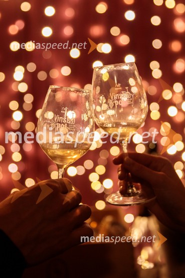 Vinska pot v rovih pod starim Kranjem 2024, sobota 2