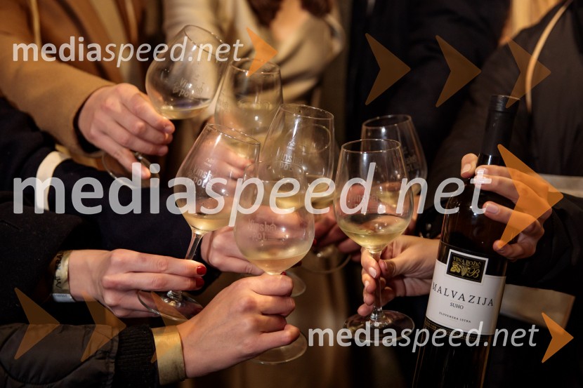 Vinska pot v rovih pod starim Kranjem 2024, sobota 2