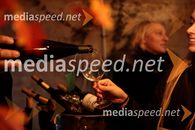 Vinska pot v rovih pod starim Kranjem 2024, sobota 2