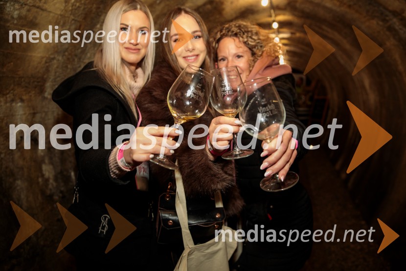 Vinska pot v rovih pod starim Kranjem 2024, sobota 2