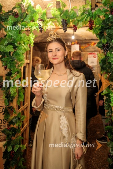  Sanja Ferjančič, 27. Vinska kraljica Slovenije 2024Vinska pot v rovih pod starim Kranjem 2024, sobota 2