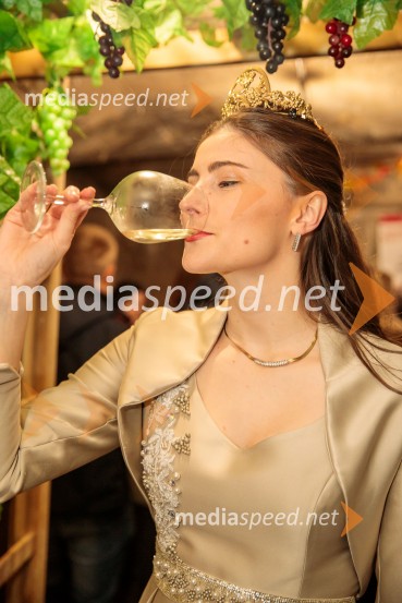  Sanja Ferjančič, 27. Vinska kraljica Slovenije 2024Vinska pot v rovih pod starim Kranjem 2024, sobota 2