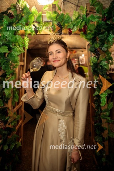  Sanja Ferjančič, 27. Vinska kraljica Slovenije 2024Vinska pot v rovih pod starim Kranjem 2024, sobota 2