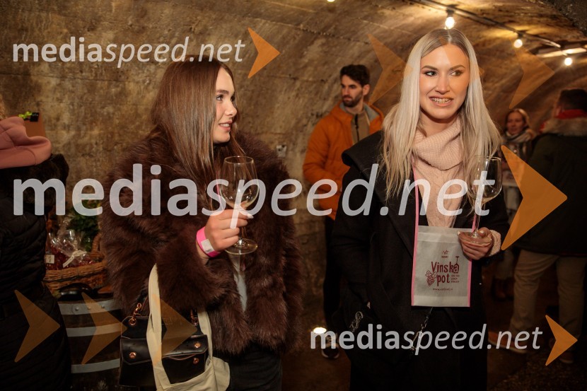 Vinska pot v rovih pod starim Kranjem 2024, sobota 2