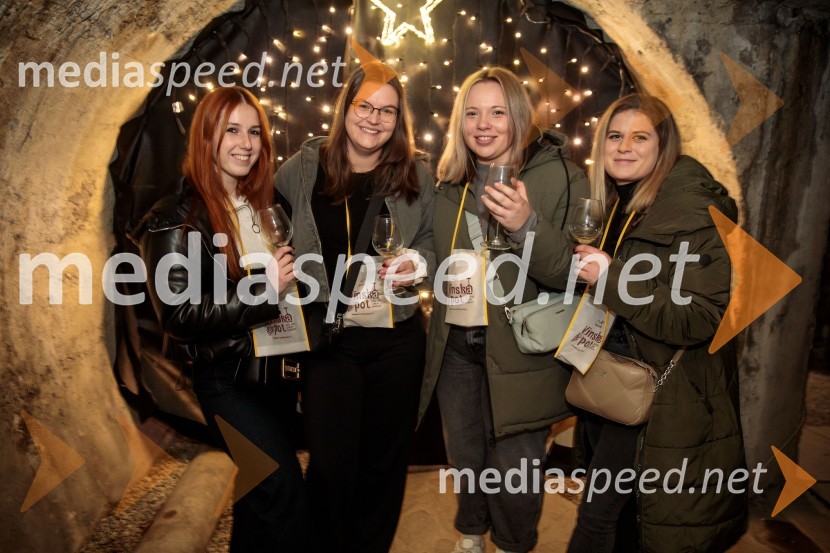 Vinska pot v rovih pod starim Kranjem 2024, sobota 2