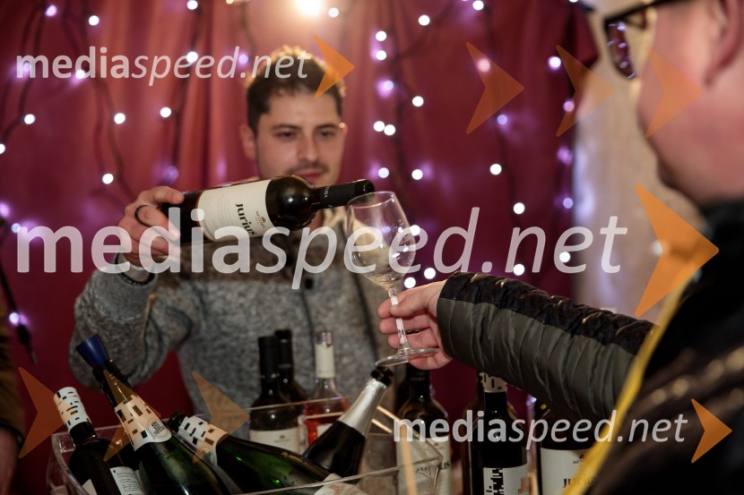 Vinska pot v rovih pod starim Kranjem 2024, sobota 2