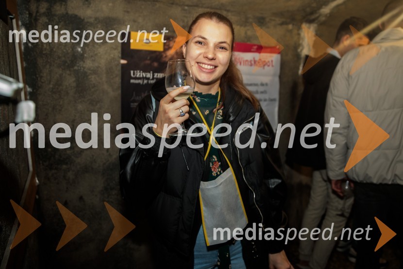 Vinska pot v rovih pod starim Kranjem 2024, sobota 2