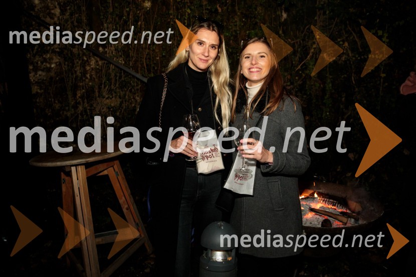 Vinska pot v rovih pod starim Kranjem 2024, sobota 2